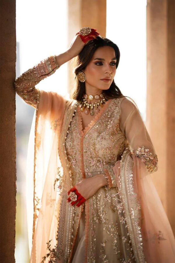 AJR ABBAS JAMIL RAJPOOT LUXURY FORMALS